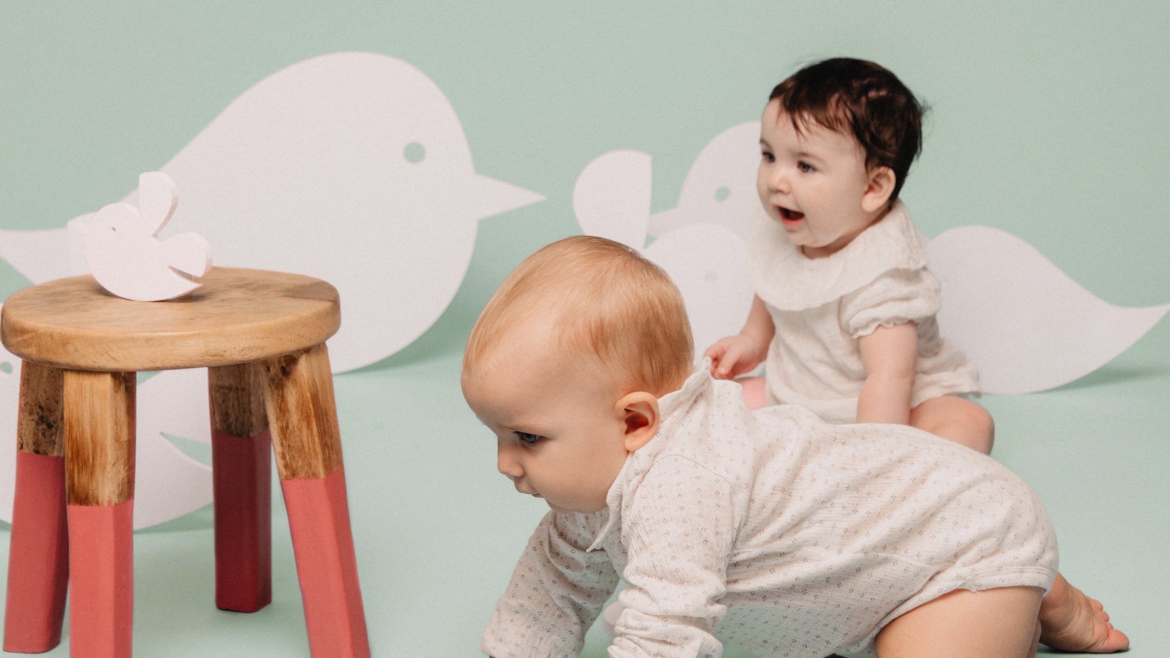 Registry Picks